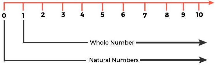 Whole Numbers on Number Line